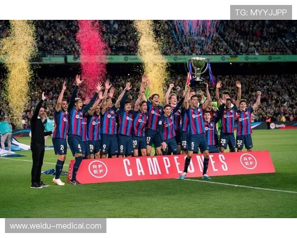 西甲联赛冠军和欧冠的关系:西甲冠军与欧冠赛场的交织 西甲联赛冠军和欧冠的关系:西甲冠军与欧冠赛场的交织