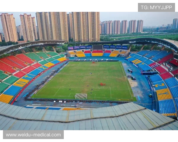 足球赛事中的场地设计与设施建设