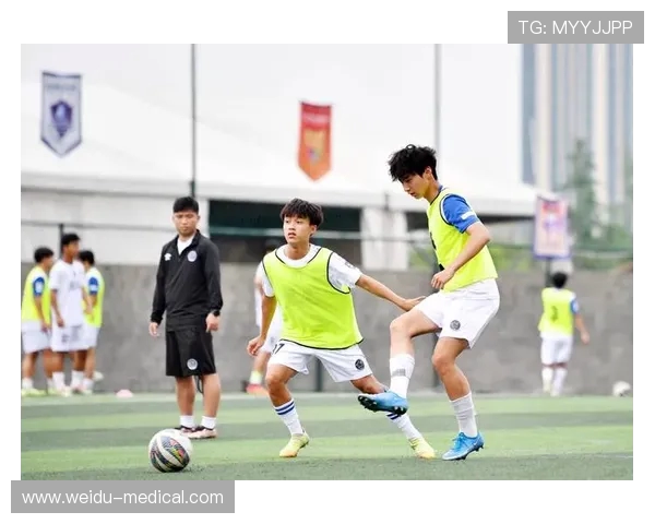 足球青少年训练体系的培养模式解析