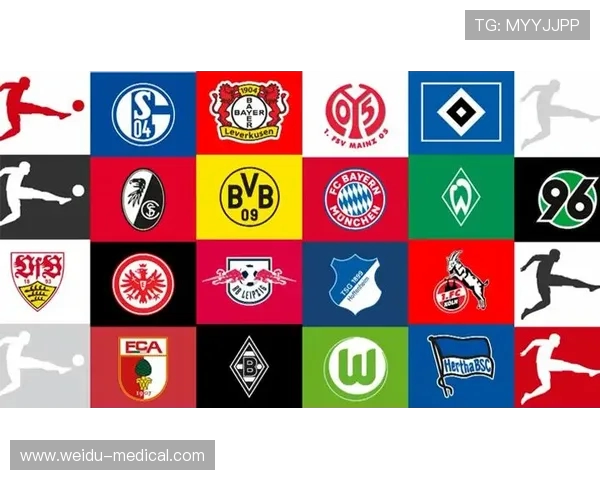 德甲球队名称常见字母缩写及含义汇总