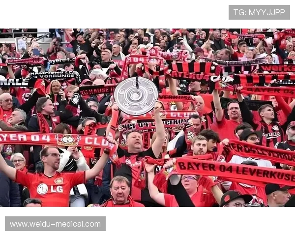 德甲球队的球迷支持：俱乐部与球迷的互动