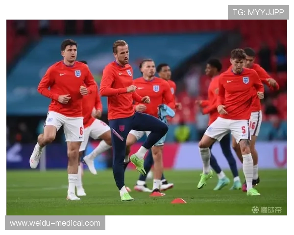 德甲联赛球队人员结构分析：主力球员、替补与梯队分布