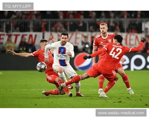 柏林目前有哪些球队正在征战德甲赛场？