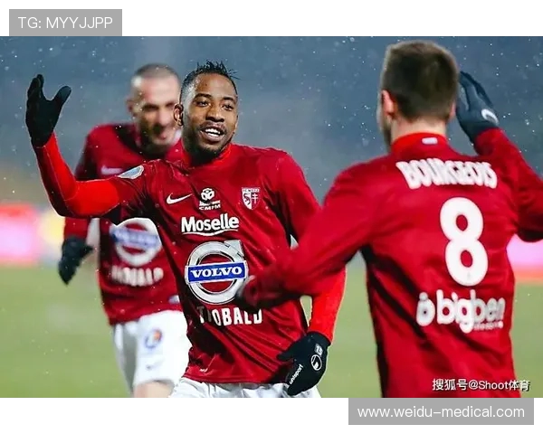 法甲外援表现评估及对球队战绩的贡献分析 法甲外援表现评估及对球队战绩的贡献分析