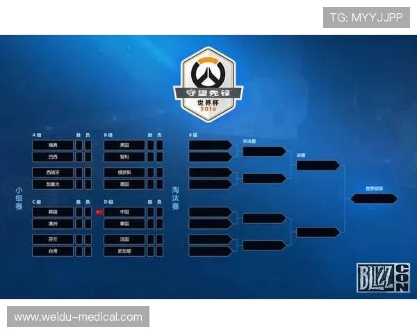 OW世界杯中国队精彩表现回顾与成绩分析