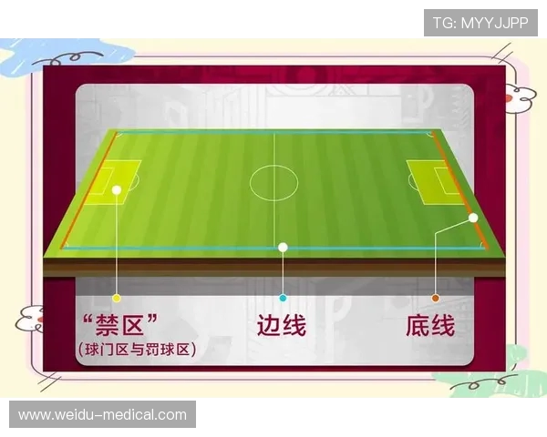 世界杯举办地卡塔尔及赛事亮点时间与场馆分布全面解读