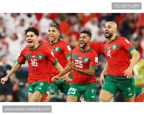 埃及足球世界杯大名单解析与核心球员前景展望历史沿革与战术布局 埃及足球世界杯大名单解析与核心球员前景展望历史沿革与战术布局