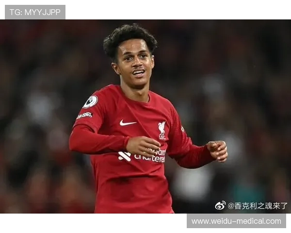 英超球员外租制度详解及典型租借案例分析 英超球员外租制度详解及典型租借案例分析